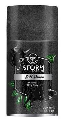 Storm body spray for men 250ml